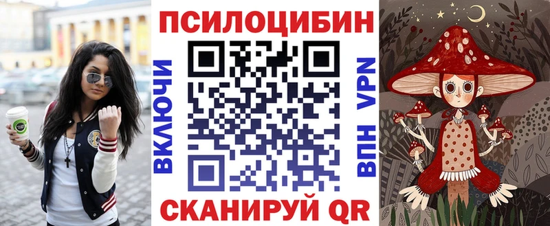 Псилоцибиновые грибы мицелий  Снежногорск 